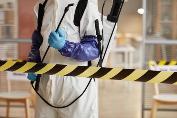 Professional Sewage Cleanup technician working in Johnstown, NE